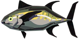 Blackfin Tuna, DREDGE Wiki