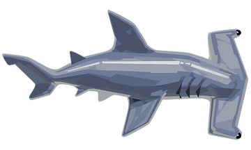 クレイジーピッグ　CRAZY PIG HAMMERHEAD SHARK クレイジーピッグ CRAZY PIG HAMMERHEAD SHARK