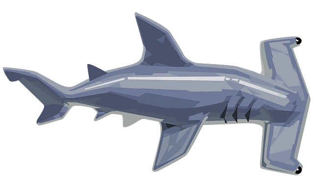 Hammerhead Shark, DREDGE Wiki