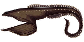 Пеликановидный большерот