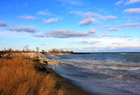 Illinois Beach State Park