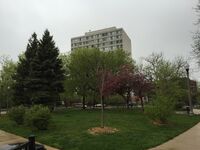 Buttercup Park, Chicago