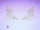 Sleepwalking Spider