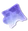 Rare Companion Token