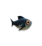 Larva Hyper Tuna