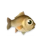 Larva Carp