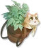 Cat-Medal-WS