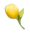 SK Icon Yellow Tulip