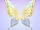 Butterflies in Lost Dreams