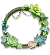 Portrait Frame Nature's Oxygen Bar