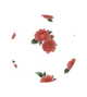 Pattern Season of Passion