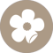 Decal Icon