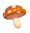 SK Icon Mushroom