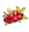 SK Icon Cranberry