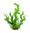 Lush Seaweed