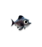 Larva Sturgeon