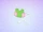 Frog's Splash