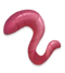 Earthworm