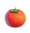 SK Icon Tomato