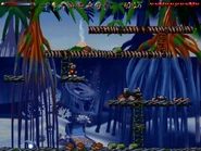 The secret is down the kelp ladder at the end of the platform.