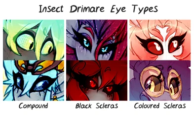 Insect Drimare Eye Types