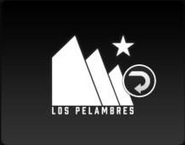 Los Pelambres Reverse Badge