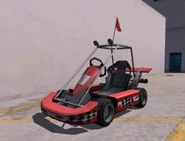 Go-Kart (Not a motorcycle)