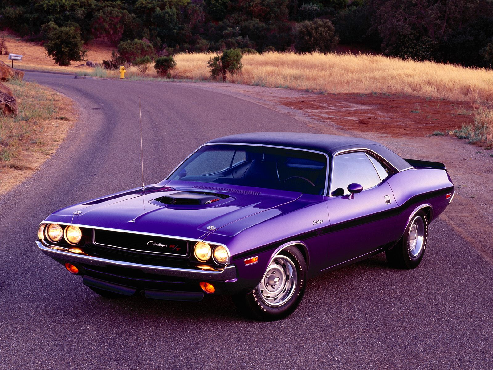 Dodge Challenger R/T | Driver San Francisco Wiki | Fandom Dodge Challenger R/T | Driver San Francisco Wiki | Fandom