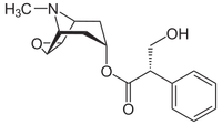L-Scopolamin