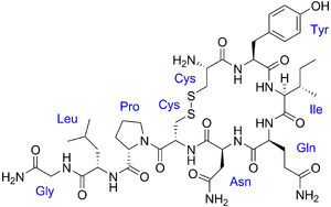 Oxytocin with labels