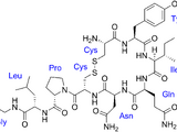 Oxytocin