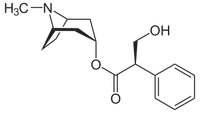D-Hyoscyamin