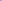 Censor bar dog.png