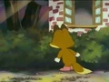 It's Donbe, spying on Kitsuneko once again!