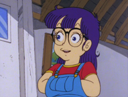 Akane Arale Disguise