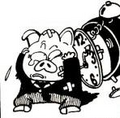 The pig beaten by Kanta
