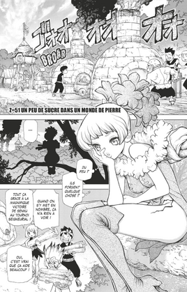 Cover Française