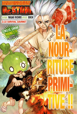 Cover Française