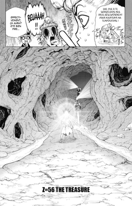 Cover Française