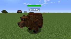 Grizzly bear chest