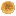 Grid Omelet.png