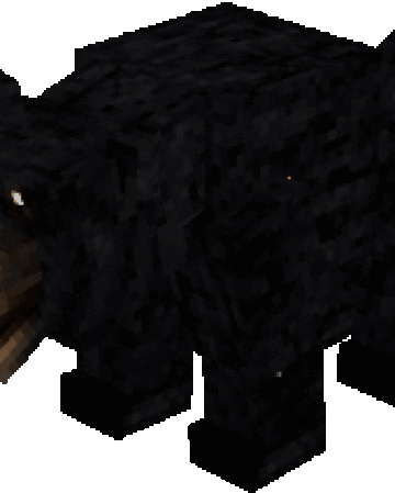 Bear Mo Creatures Wiki Fandom