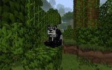 Bear | Mo' Creatures Wiki | Fandom