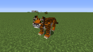 A tiger.