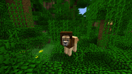 The old lion model in a jungle biome.