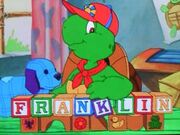 Franklin turtle.jpg