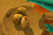 Proganochelys Eggs