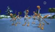 Pack of Northern Troodon