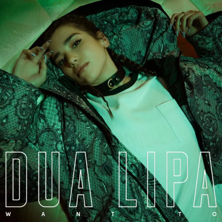 Want To (song), Dua Lipa Wiki