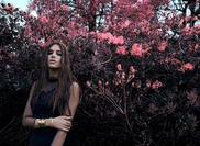 SHOT-15 0051 Colour.jpg (564 KB)